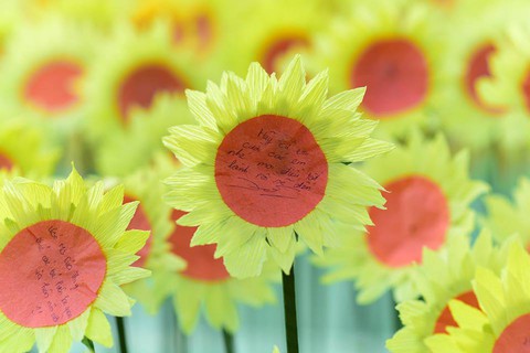 Hướng dương bừng sáng ở Sài Gòn và Hà Nội - Ảnh 4. Hướng dương bừng sáng ở Sài Gòn và Hà Nội - Ảnh 4.