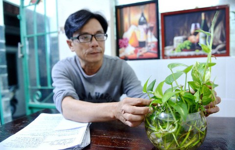 Trồng cây ở bàn làm việc, coi chừng gây hại sức khỏe! - Ảnh 1. Trồng cây ở bàn làm việc, coi chừng gây hại sức khỏe! - Ảnh 1.
