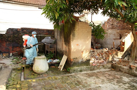 Tạm thời khống chế được dịch sốt xuất huyết - Ảnh 1. Tạm thời khống chế được dịch sốt xuất huyết - Ảnh 1.