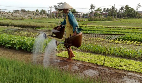 Điều kiện sống ở nông thôn có nhiều cải thiện tích cực - Ảnh 1. Điều kiện sống ở nông thôn có nhiều cải thiện tích cực - Ảnh 1.