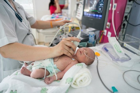 Tim bẩm sinh cần được phát hiện và điều trị kịp thời - Ảnh 1. Tim bẩm sinh cần được phát hiện và điều trị kịp thời - Ảnh 1.