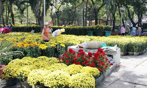 Không tổ chức chợ hoa Tết trên vỉa hè, lòng đường - Ảnh 1. Không tổ chức chợ hoa Tết trên vỉa hè, lòng đường - Ảnh 1.