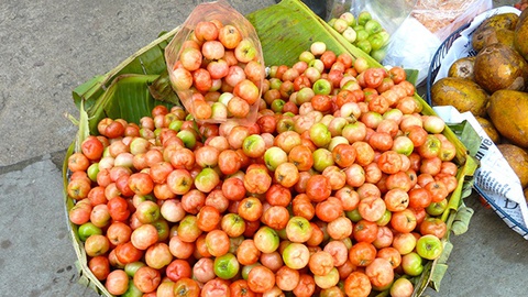 Quả sơ ri giúp giảm nguy cơ mắc bệnh tim mạch - Ảnh 1. Quả sơ ri giúp giảm nguy cơ mắc bệnh tim mạch - Ảnh 1.