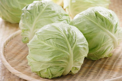 Bắp cải - rau ăn và thuốc phòng chống xơ vữa động mạch - Ảnh 1. Bắp cải - rau ăn và thuốc phòng chống xơ vữa động mạch - Ảnh 1.