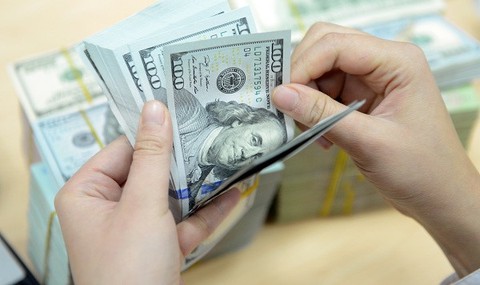 Ngân hàng Nhà nước yêu cầu thực hiện tốt huy động vốn bằng ngoại tệ - Ảnh 1. Ngân hàng Nhà nước yêu cầu thực hiện tốt huy động vốn bằng ngoại tệ - Ảnh 1.