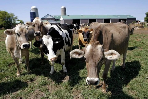 Khí methane - Thách thức trong cuộc chiến chống ấm lên toàn cầu - Ảnh 1. Khí methane - Thách thức trong cuộc chiến chống ấm lên toàn cầu - Ảnh 1.