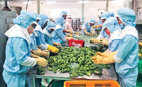 Xuất khẩu nông sản đạt kỷ lục mới - Ảnh 1. Xuất khẩu nông sản đạt kỷ lục mới - Ảnh 1.