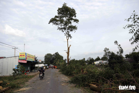 Nhiều tàu cá vào vùng biển Thái Lan, Malaysia xin tránh bão - Ảnh 13. Nhiều tàu cá vào vùng biển Thái Lan, Malaysia xin tránh bão - Ảnh 13.