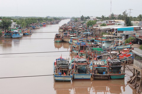Cưỡng chế tàu cá, đưa vào nơi trú ẩn an toàn - Ảnh 7. Cưỡng chế tàu cá, đưa vào nơi trú ẩn an toàn - Ảnh 7.