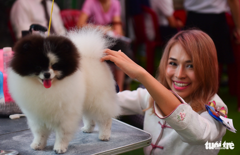 Xem cún cưng tranh tài trong Dog show 2017 tại Sài Gòn - Ảnh 5. Xem cún cưng tranh tài trong Dog show 2017 tại Sài Gòn - Ảnh 5.