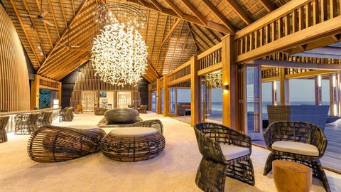 Ăn ngon tại nhà hàng dưới nước lớn nhất thế giới - Ảnh 9. Ăn ngon tại nhà hàng dưới nước lớn nhất thế giới - Ảnh 9.