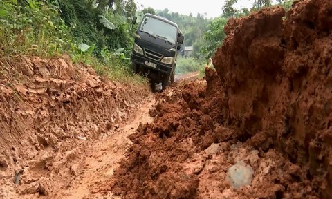 Dân khốn khổ vì đường độc đạo thua ruộng cày - Ảnh 2. Dân khốn khổ vì đường độc đạo thua ruộng cày - Ảnh 2.
