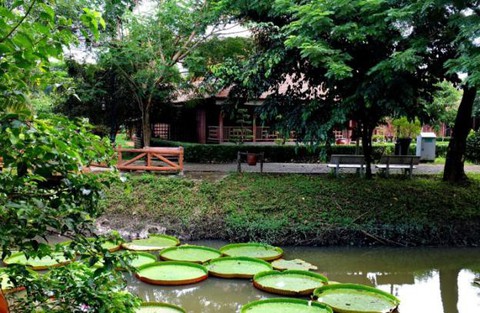Hòa An: Làng nhà sàn độc đáo ở Cao Lãnh - Ảnh 5. Hòa An: Làng nhà sàn độc đáo ở Cao Lãnh - Ảnh 5.