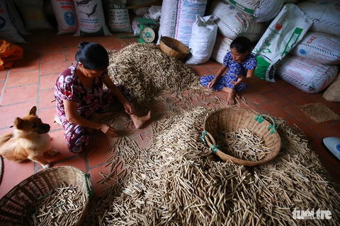 Nghề mành trúc chưa có người thừa kế ở Sài Gòn - Ảnh 3. Nghề mành trúc chưa có người thừa kế ở Sài Gòn - Ảnh 3.