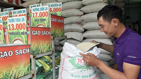 Gạo Việt đang lép vế trước gạo Cam, gạo Thái - Ảnh 1. Gạo Việt đang lép vế trước gạo Cam, gạo Thái - Ảnh 1.
