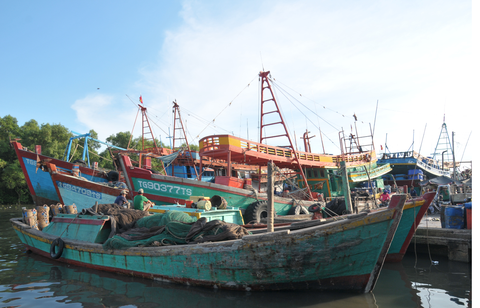 Nghe bão, nhà vườn miền Tây như ngồi trên đống lửa - Ảnh 2. Nghe bão, nhà vườn miền Tây như ngồi trên đống lửa - Ảnh 2.