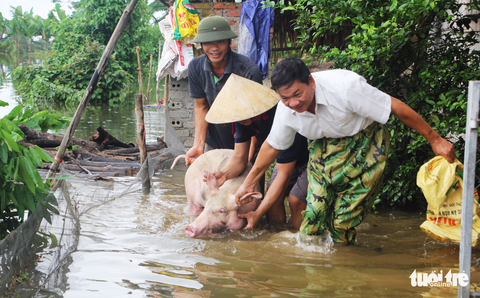 Nước sông Lam dâng nhanh, dân hối hả chạy lụt - Ảnh 7. Nước sông Lam dâng nhanh, dân hối hả chạy lụt - Ảnh 7.