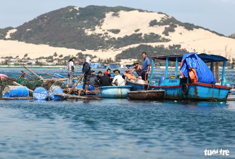 Bè tan thuyền nát, ngư dân ôm nợ - Ảnh 10. Bè tan thuyền nát, ngư dân ôm nợ - Ảnh 10.