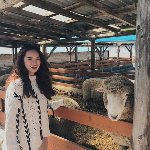 Nữ chính Em chưa 18 host cho kênh truyền hình Arirang - Ảnh 1. Nữ chính Em chưa 18 host cho kênh truyền hình Arirang - Ảnh 1.