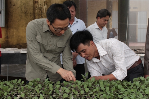 Sớm xóa bỏ rau hai luống, lợn hai chuồng - Ảnh 2. Sớm xóa bỏ rau hai luống, lợn hai chuồng - Ảnh 2.