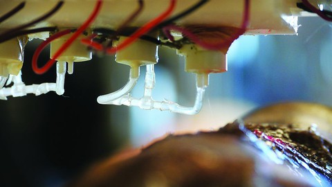 In 3D đang tạo ra phép màu trong y học - Ảnh 4. In 3D đang tạo ra phép màu trong y học - Ảnh 4.
