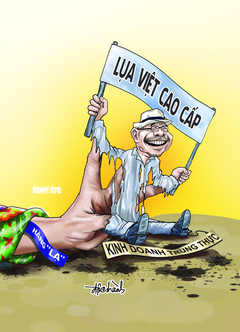 Lụa Việt cao cấp - Ảnh 1. Lụa Việt cao cấp - Ảnh 1.