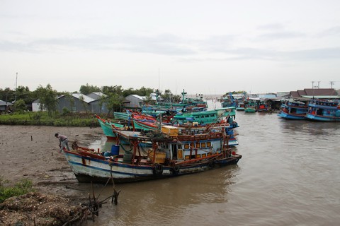 Côn Đảo bắt đầu nổi gió mạnh, giữ nguyên phương án chống bão - Ảnh 3. Côn Đảo bắt đầu nổi gió mạnh, giữ nguyên phương án chống bão - Ảnh 3.
