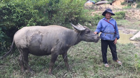 Di dân tự do ở Tây Nguyên - Kỳ cuối: Đất lành chim... ở lại - Ảnh 3. Di dân tự do ở Tây Nguyên - Kỳ cuối: Đất lành chim... ở lại - Ảnh 3.