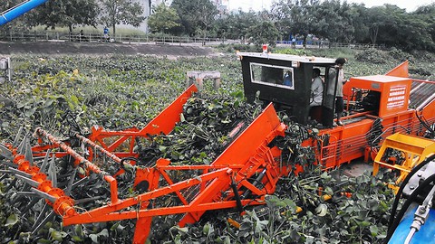 Máy cắt, vớt lục bình thế hệ mới - Ảnh 1. Máy cắt, vớt lục bình thế hệ mới - Ảnh 1.