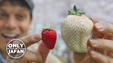 Đi chơi Nhật Bản ăn gì cho ngon? (phần 2) - Ảnh 2. Đi chơi Nhật Bản ăn gì cho ngon? (phần 2) - Ảnh 2.