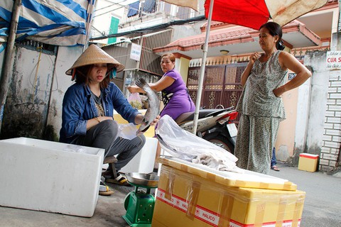 Tôm hùm chạy bão ra phố, người nuôi vừa khóc vừa bán - Ảnh 2. Tôm hùm chạy bão ra phố, người nuôi vừa khóc vừa bán - Ảnh 2.