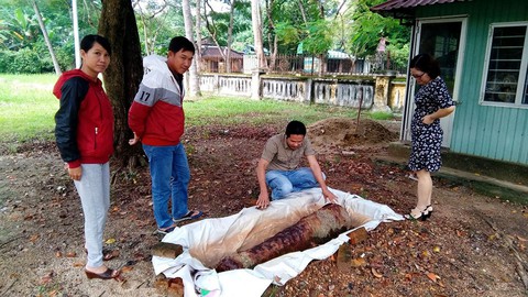 Vớt được thần công, thà vùi cát, cưa ra bán đồng nát - Ảnh 1. Vớt được thần công, thà vùi cát, cưa ra bán đồng nát - Ảnh 1.