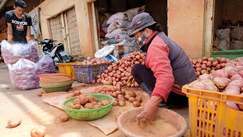 Thâm nhập “xưởng” làm giả khoai tây Trung Quốc thành Đà Lạt - Ảnh 3. Thâm nhập “xưởng” làm giả khoai tây Trung Quốc thành Đà Lạt - Ảnh 3.