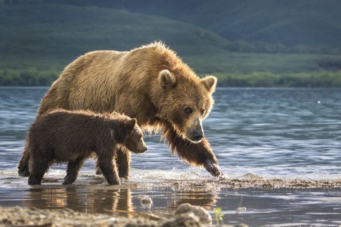 Thiên nhiên vừa gần vừa xa trong cuộc thi ảnh National Geographic - Ảnh 6. Thiên nhiên vừa gần vừa xa trong cuộc thi ảnh National Geographic - Ảnh 6.