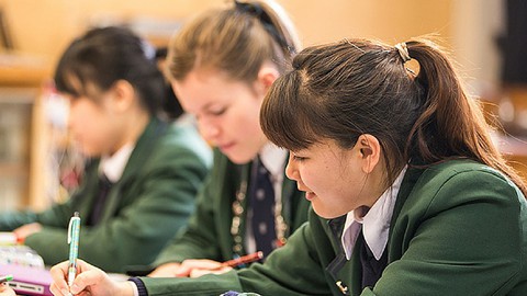 New Zealand có học bổng nào cho sinh viên? - Ảnh 1. New Zealand có học bổng nào cho sinh viên? - Ảnh 1.