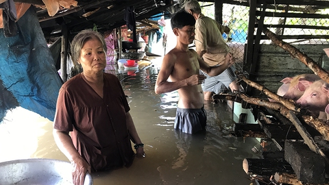 Triều cường gây vỡ bờ, nhiều hộ dân Cần Thơ mất trắng - Ảnh 6. Triều cường gây vỡ bờ, nhiều hộ dân Cần Thơ mất trắng - Ảnh 6.