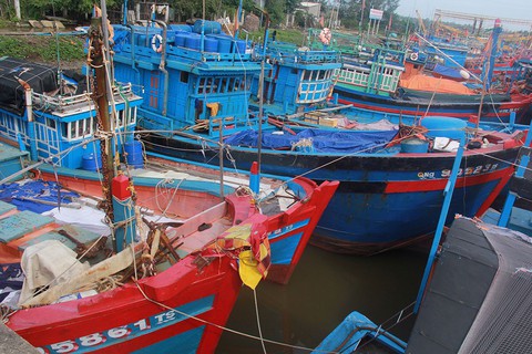 ASEAN với chuyện thẻ vàng EU - Ảnh 1. ASEAN với chuyện thẻ vàng EU - Ảnh 1.
