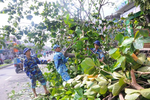 Nha Trang ngổn ngang sau bão mạnh - Ảnh 9. Nha Trang ngổn ngang sau bão mạnh - Ảnh 9.