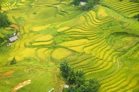 Bài dự thi: Sa Pa có một mùa vàng - Ảnh 1. Bài dự thi: Sa Pa có một mùa vàng - Ảnh 1.