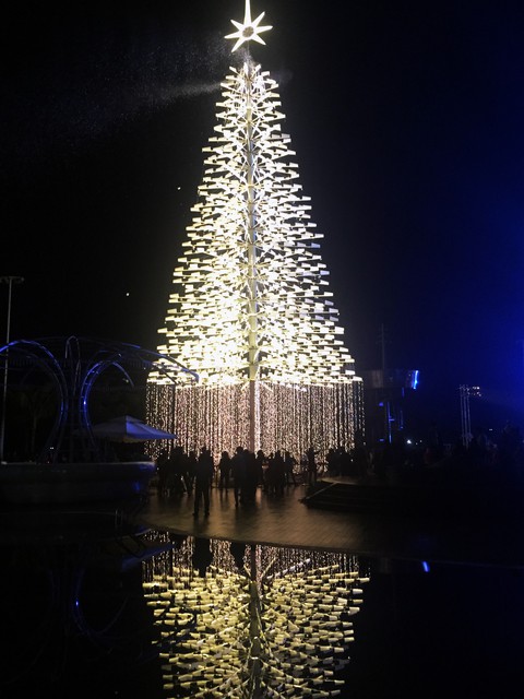 Cây thông cao nhất Việt Nam bừng sáng dịp Noel - Ảnh 2. Cây thông cao nhất Việt Nam bừng sáng dịp Noel - Ảnh 2.