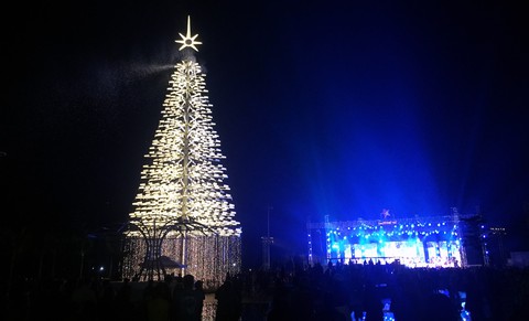 Cây thông cao nhất Việt Nam bừng sáng dịp Noel - Ảnh 1. Cây thông cao nhất Việt Nam bừng sáng dịp Noel - Ảnh 1.