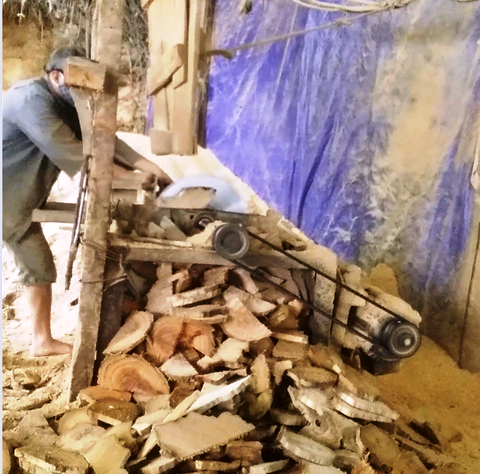 Cục Kiểm lâm vào cuộc sau loạt bài phá rừng của Tuổi Trẻ - Ảnh 5. Cục Kiểm lâm vào cuộc sau loạt bài phá rừng của Tuổi Trẻ - Ảnh 5.