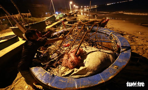Làng biển Phan Rang không ngủ trước bão lớn - Ảnh 6. Làng biển Phan Rang không ngủ trước bão lớn - Ảnh 6.