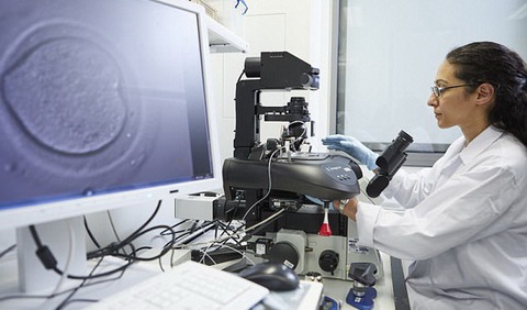 Tìm ra gene quyết định việc thụ thai thành công - Ảnh 1. Tìm ra gene quyết định việc thụ thai thành công - Ảnh 1.