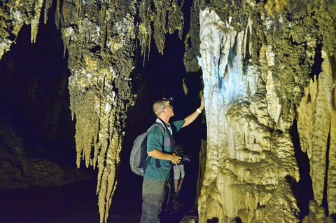 phong nha phong nha