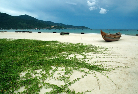 Đà Nẵng: “Đánh thức” tiềm năng lưu vực sông Cổ Cò - Ảnh 2. Đà Nẵng: “Đánh thức” tiềm năng lưu vực sông Cổ Cò - Ảnh 2.