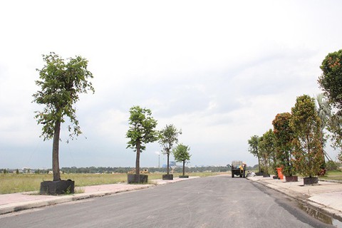 Giao dịch đất nền Bình Dương tăng mạnh cuối năm - Ảnh 1. Giao dịch đất nền Bình Dương tăng mạnh cuối năm - Ảnh 1.