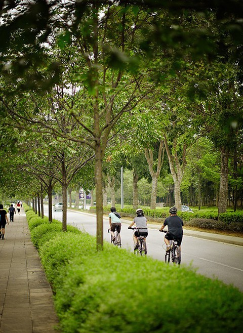 5 lý do để sở hữu The Mansions ParkCity Hanoi - Ảnh 1. 5 lý do để sở hữu The Mansions ParkCity Hanoi - Ảnh 1.