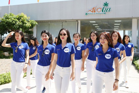 Aloha Beach Village Phan Thiết là nhà tài trợ chính hoa hậu Hoàn Vũ - Ảnh 2. Aloha Beach Village Phan Thiết là nhà tài trợ chính hoa hậu Hoàn Vũ - Ảnh 2.