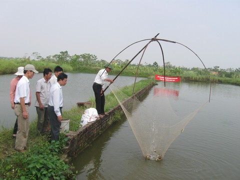 Gỡ bỏ 12 thủ tục sản xuất, kinh doanh chăn nuôi, thuỷ sản - Ảnh 2. Gỡ bỏ 12 thủ tục sản xuất, kinh doanh chăn nuôi, thuỷ sản - Ảnh 2.